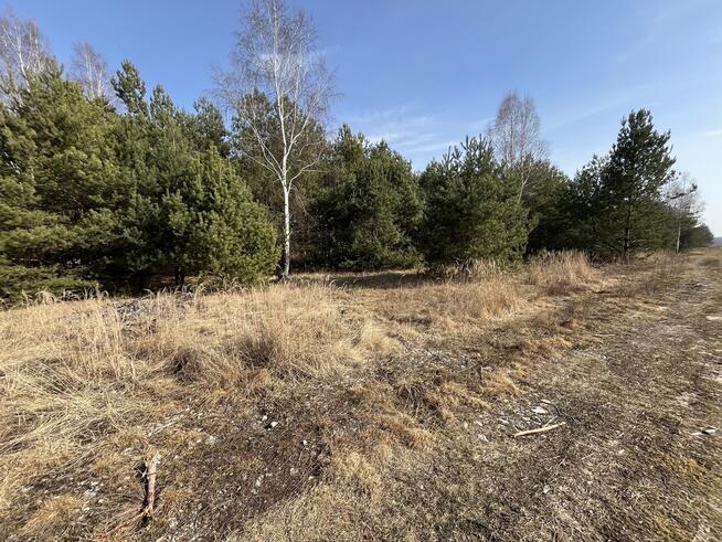 Działka z WZ w Wólce Gonciarskiej gm. Kazanów.