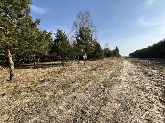 Działka z WZ w Wólce Gonciarskiej gm. Kazanów.