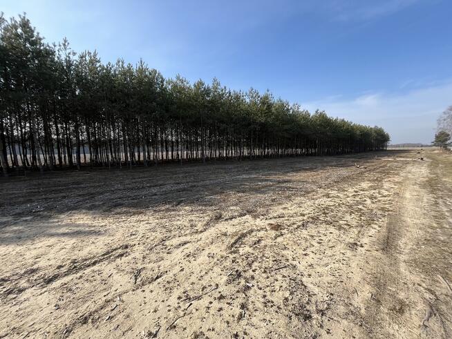 Działka z WZ w Wólce Gonciarskiej gm. Kazanów.