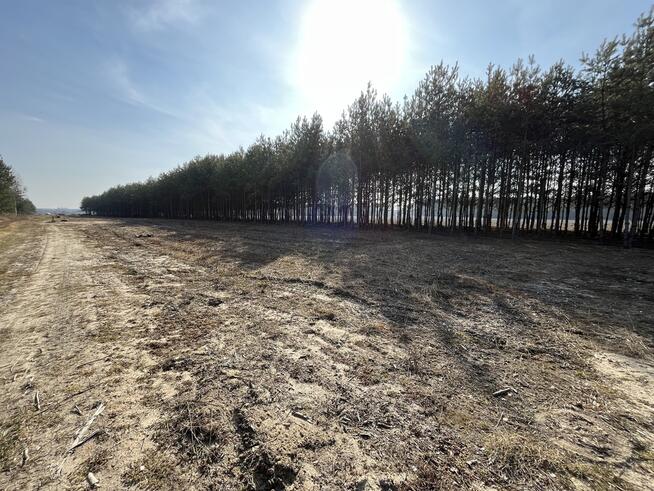 Działka z WZ w Wólce Gonciarskiej gm. Kazanów.