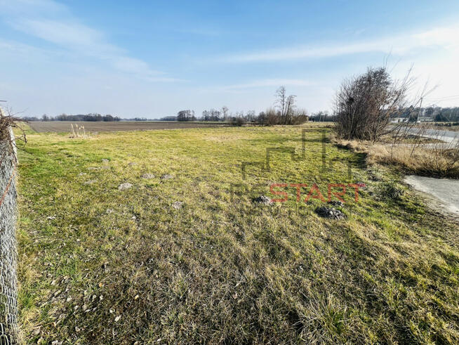 Działka siedliskowa Feliksów gm. Wiskitki,