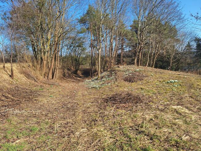 Działka budowlana z prywatnym lasem.