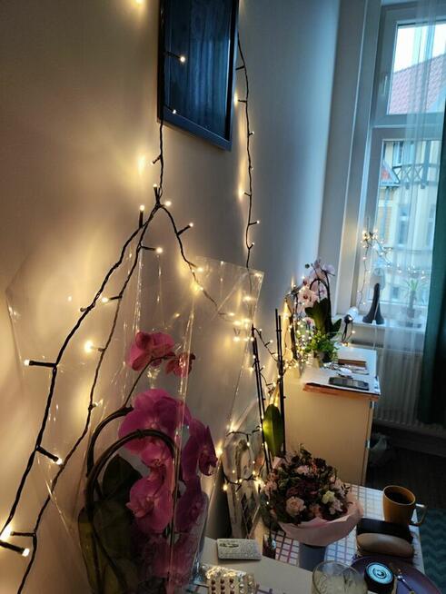 Wynajmę odstąpię pokój w mieszkaniu 5 pokojowym