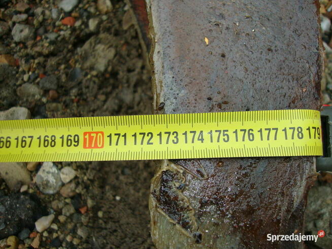 kleszcze zrywkowe chwytak do drzewa