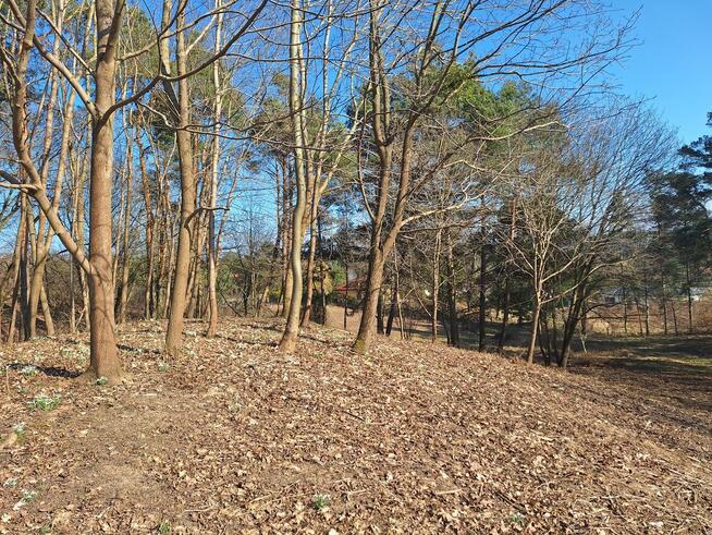 Działka budowlana z prywatnym lasem.