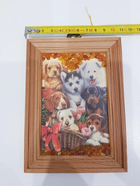 Ozdobny obrazek z bursztynkami