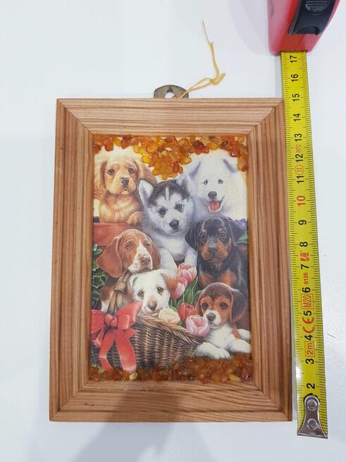 Ozdobny obrazek z bursztynkami