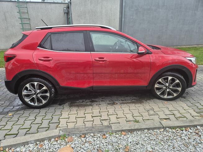 Auto osobowe Kia stonic