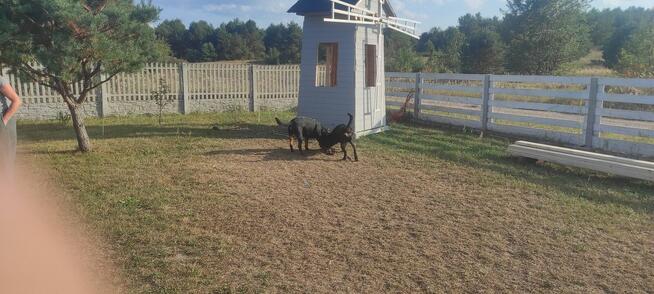 Domki letniskowe, działkowe