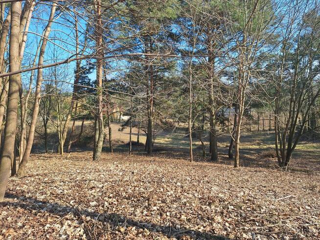 Działka budowlana z prywatnym lasem.