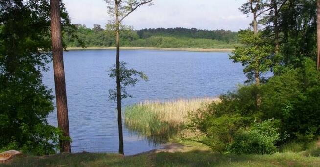 Działka z linią brzegową Jeziora Perkowo