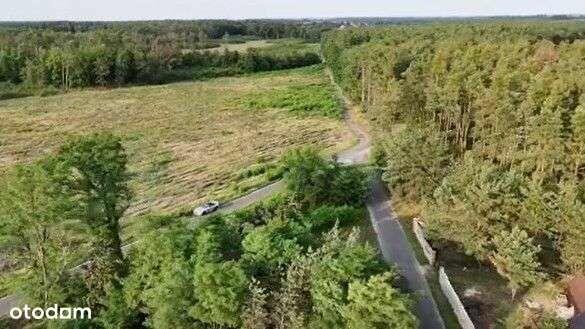 Dzialka budowlana, Miłoradzice, około 16 arów