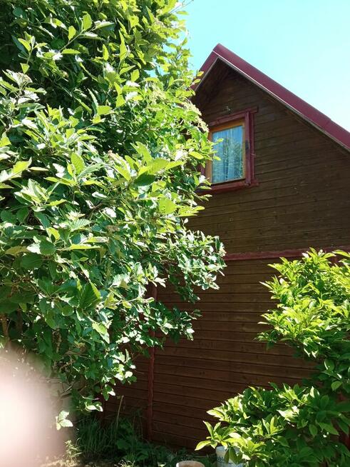 Wynajmę działki letniskowej