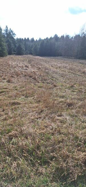 Sprzedam łąke