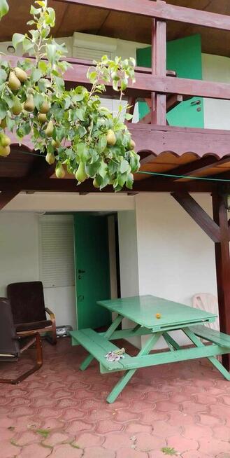 Domek letniskowy na ogródkach