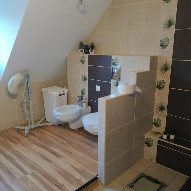 Mam do wynajęcia dwa pokoje na Openera