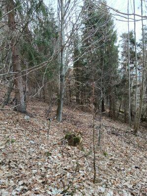 Działka leśna z pięknym widokiem w Malowniczej Gminie Lipowa