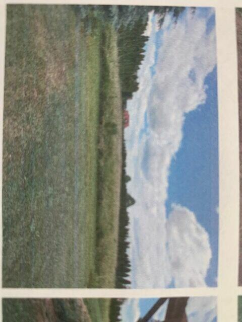 sprzedam duzy dom dz 65 ar w poblizu zjazdu z A4