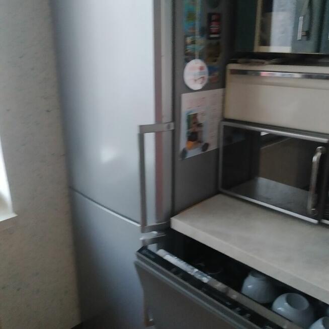 Mam do wynajęcia dwa pokoje na Openera