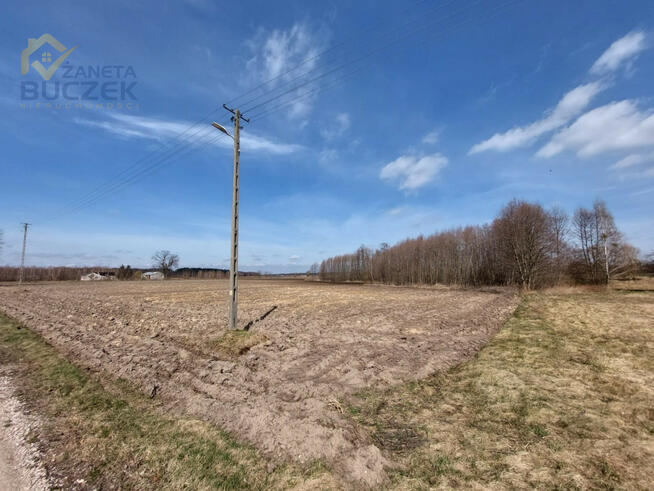 Działka rolna Justynów gm. Młodzieszyn,