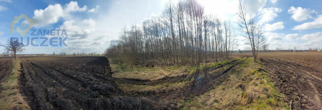 Działka rolna Justynów gm. Młodzieszyn,