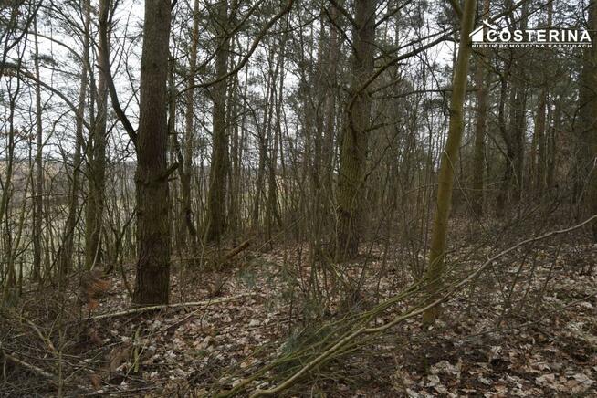 Działka budowlana Równe gm. Liniewo