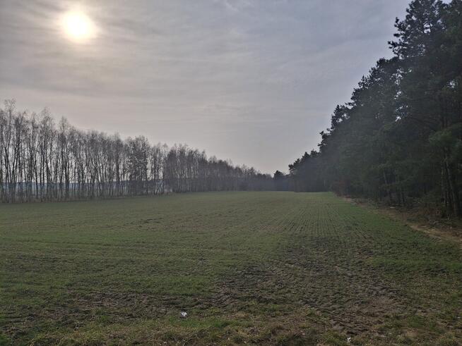 Dwie działki budowlane po 1000 m² w Boroszkowie