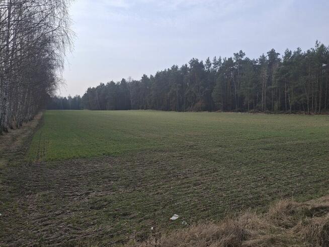 Dwie działki budowlane po 1000 m² w Boroszkowie