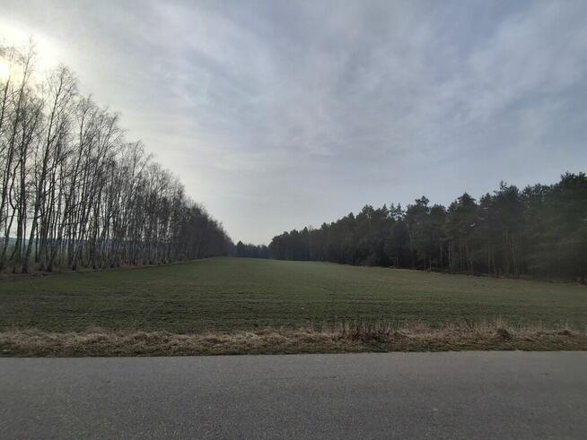 Dwie działki budowlane po 1000 m² w Boroszkowie