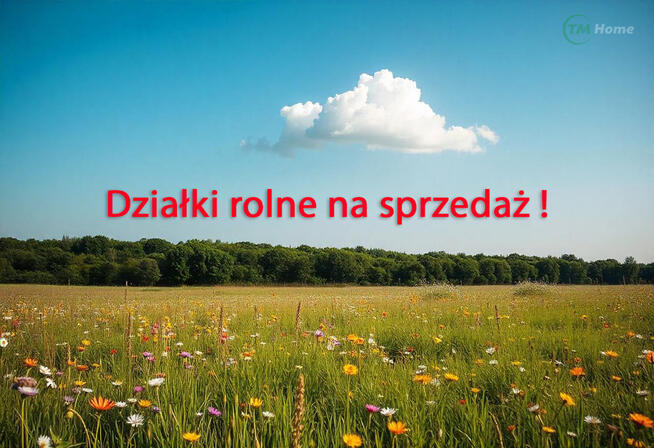 Działki rolne w Szczutkowie - 1,66 ha