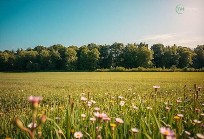 Działki rolne w Szczutkowie - 1,66 ha