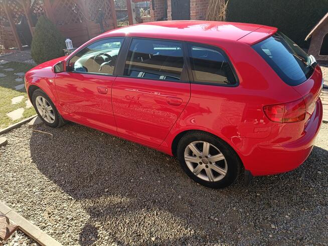 Audi A3 1.6 LPG 2008r.