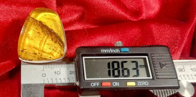 Pierścionek Srebrny z Bursztynem Roz.19/18,63mm