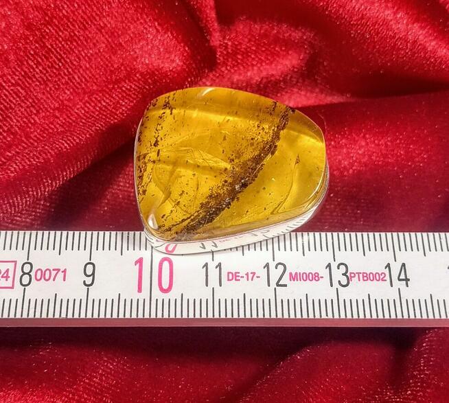 Pierścionek Srebrny z Bursztynem Roz.19/18,63mm