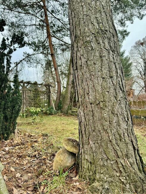 Sprzedam działkę R O D