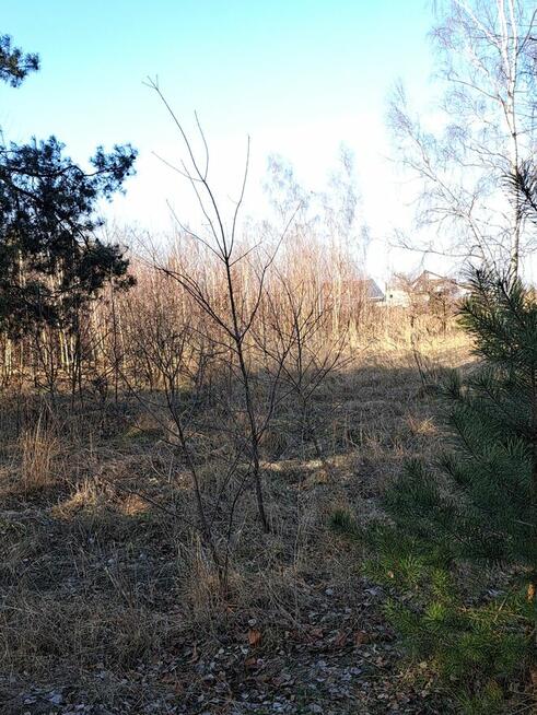 Działka budowlana blisko centrum Łasku