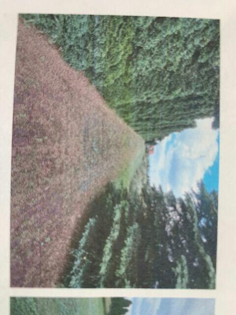 sprzedam duzy dom dz 65 ar w poblizu zjazdu z A4