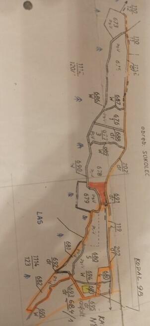 Sprzedam dużą działkę w górach Sowich przy lesie strummyku