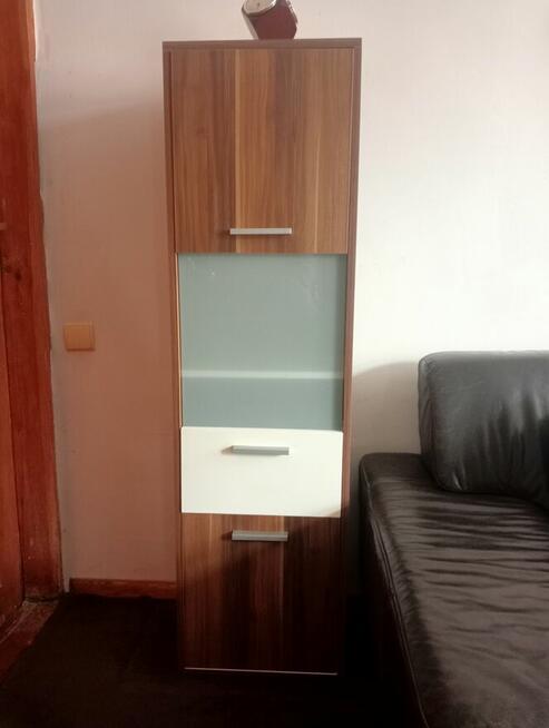 Szafka stojącą (witryna)