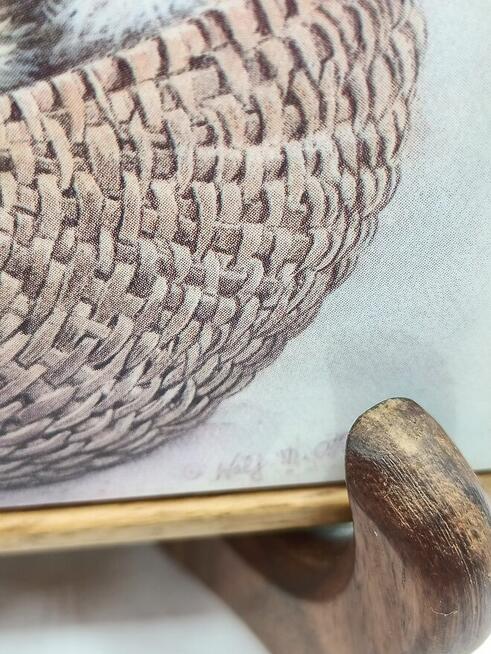 Płytka ceramiczna England w stylu vintage koty w koszyku