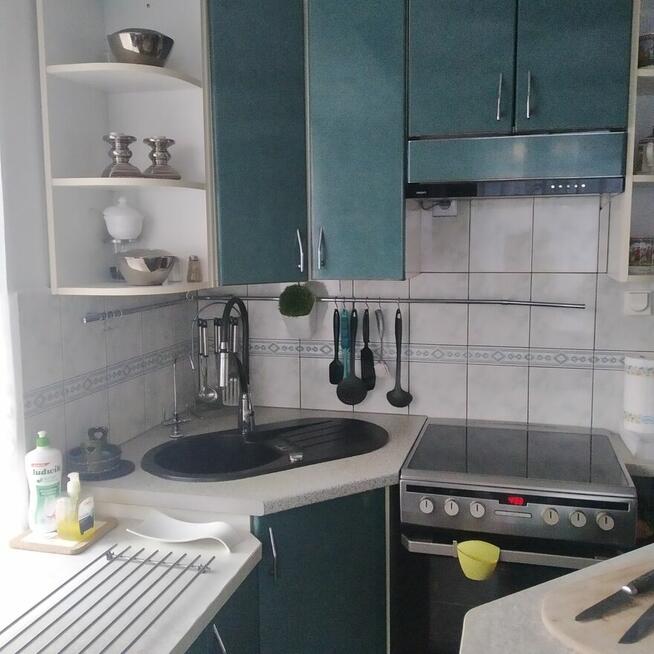 Mam do wynajęcia dwa pokoje na Openera