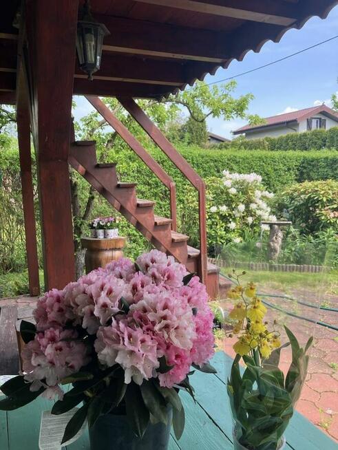 Domek letniskowy na ogródkach