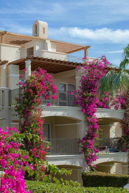 Apartament z Ogrodem w Resorcie Hotelowym Veranda. Egipt