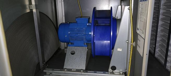 Szczupły energiczny mężczyzna potrzebny do pracy fizycznej