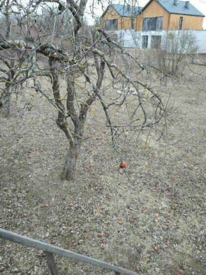 Działka budowlana na sprzedaż
