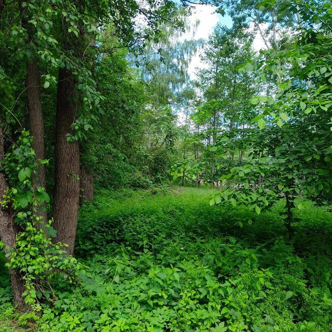 Sprzedam atrakcyjna dzialke Otwock