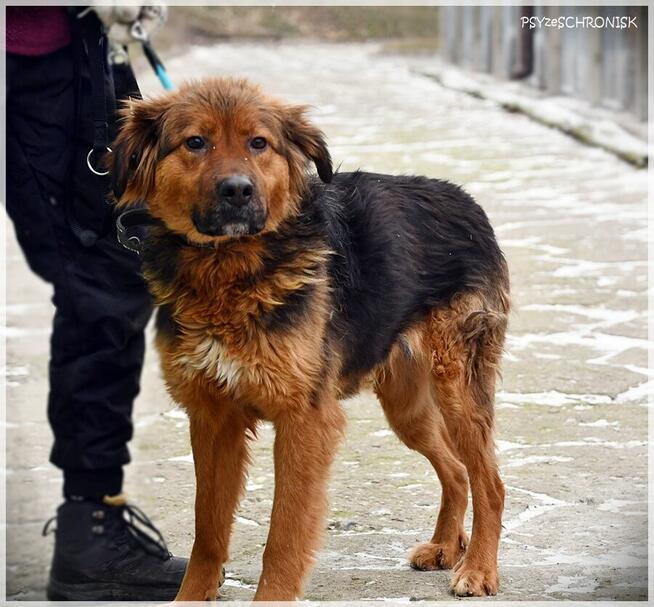 Diora - młoda, przesympatyczna ślicznotka