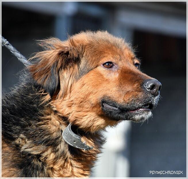 Diora - młoda, przesympatyczna ślicznotka