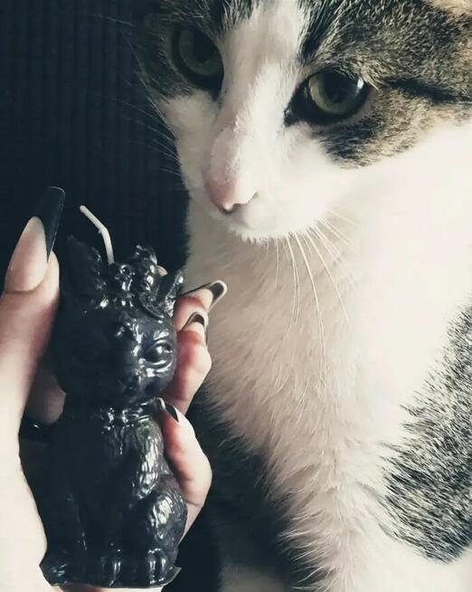 Świece zapachowe gotyckie