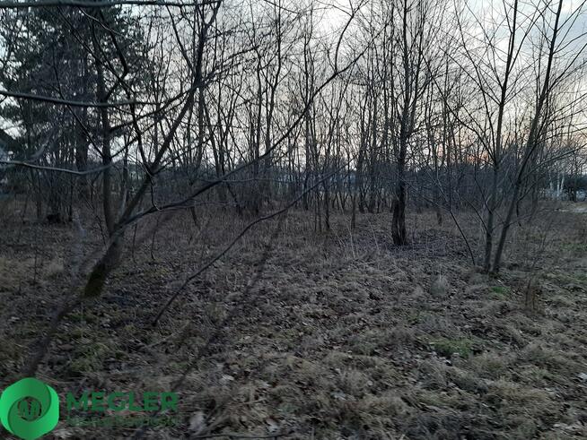 Działka w otulinie lasu